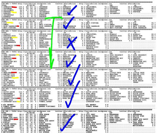 driverCard.04.07.2013.ANKARA