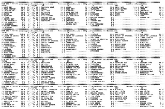 driverCard.08.07.2013.BURSA-0