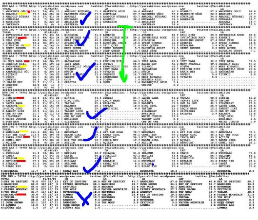 driverCard.03.09.2013.ADANA