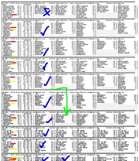 driverCard.04.09.2013.ISTANBUL