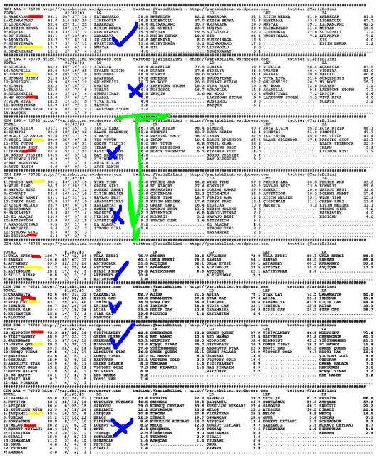 driverCard.05.09.2013.IZMIR