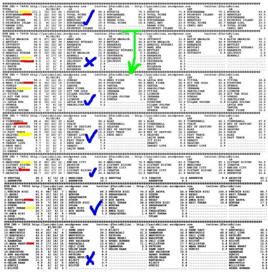 driverCard.15.09.2013.ADANA