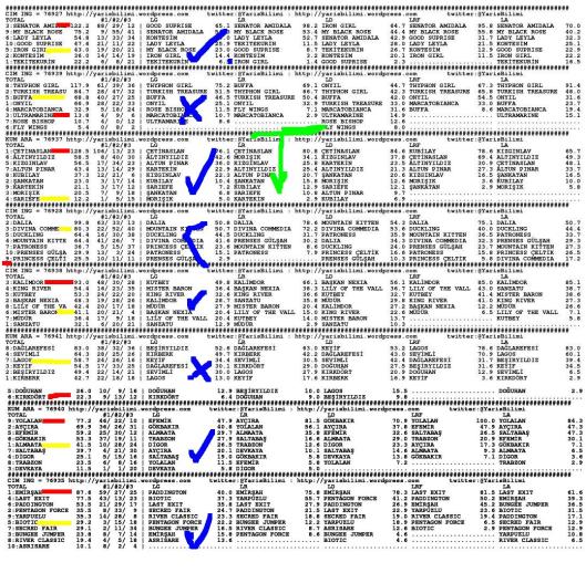 driverCard.15.09.2013.ISTANBUL