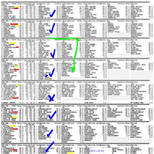 driverCard.18.09.2013.ELAZIG