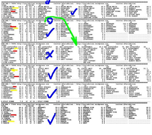 driverCard.19.09.2013.IZMIR