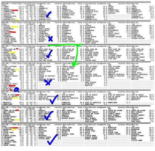 driverCard.20.09.2013.ISTANBUL