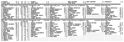 driverCard.01.10.2013.ADANA-1