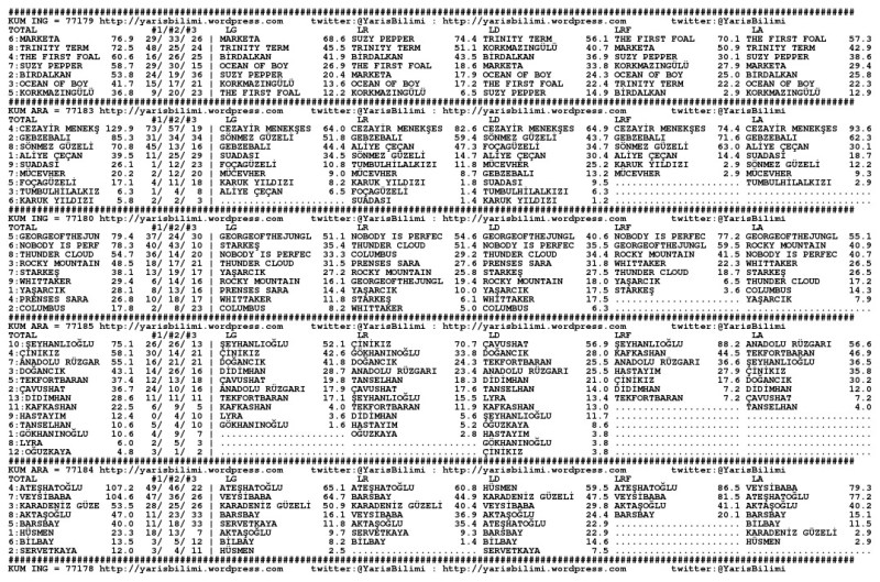 driverCard.02.10.2013.ELAZIG-0