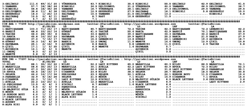 driverCard.09.10.2013.ISTANBUL-1