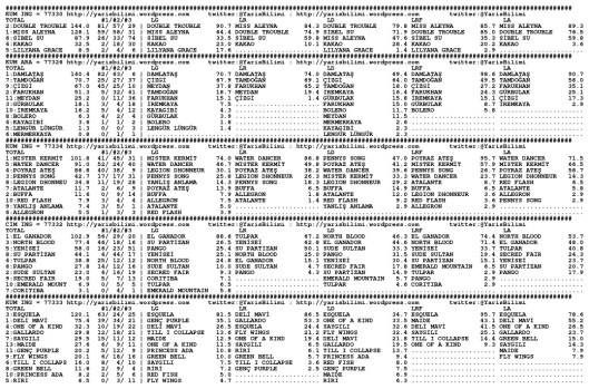 driverCard.11.10.2013.ISTANBUL-0