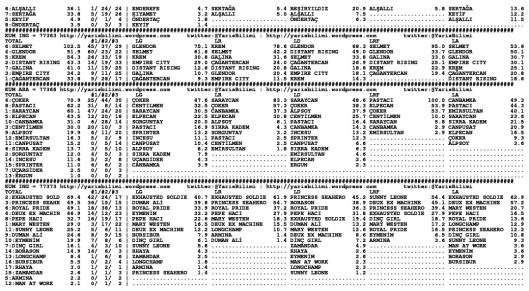 driverCard.13.10.2013.ADANA-1