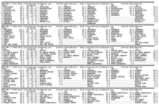driverCard.13.10.2013.ISTANBUL-0