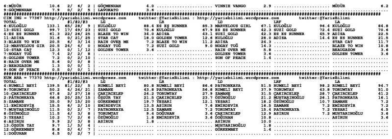 driverCard.13.10.2013.ISTANBUL-1