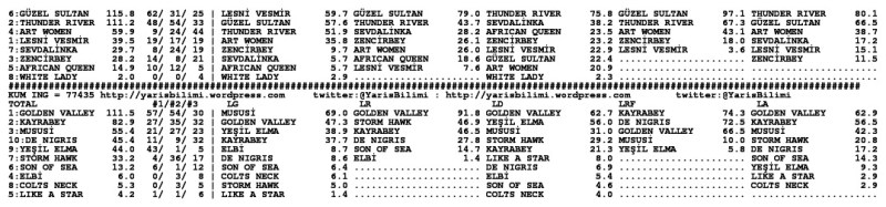 driverCard.19.10.2013.IZMIR-1