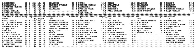 driverCard.23.10.2013.ISTANBUL-1