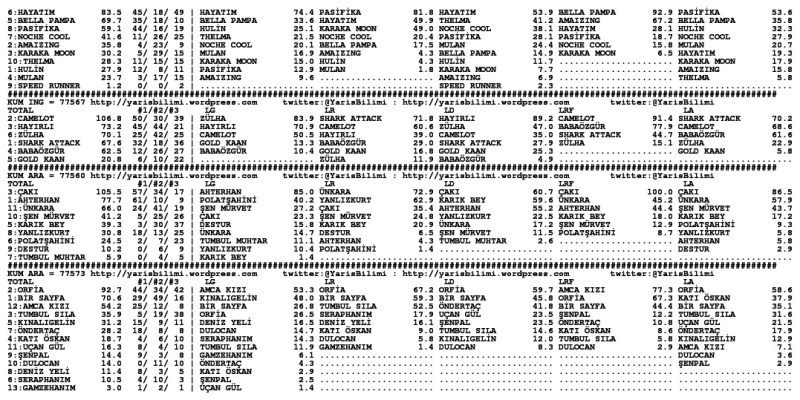 driverCard.27.10.2013.ADANA-1