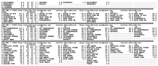 driverCard.02.11.2013.ISTANBUL-1