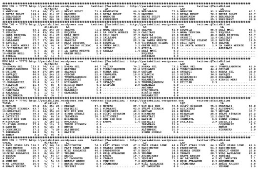 driverCard.13.11.2013.ISTANBUL-0