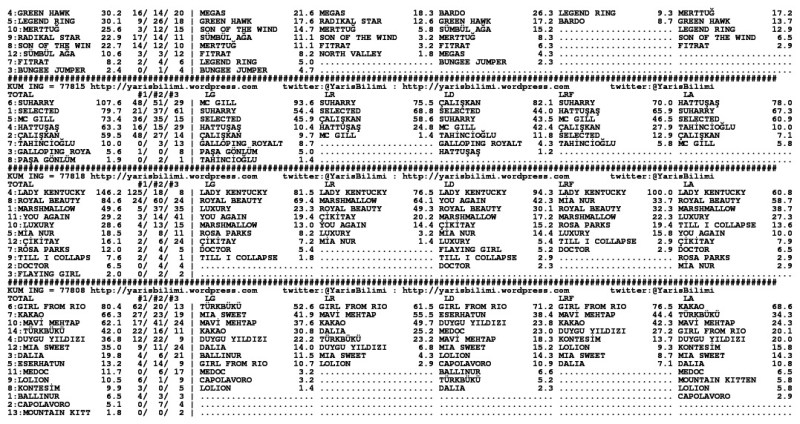 driverCard.16.11.2013.ISTANBUL-1