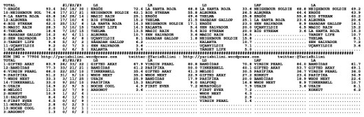 driverCard.24.11.2013.ADANA-1