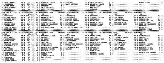 driverCard.24.11.2013.IZMIR-1