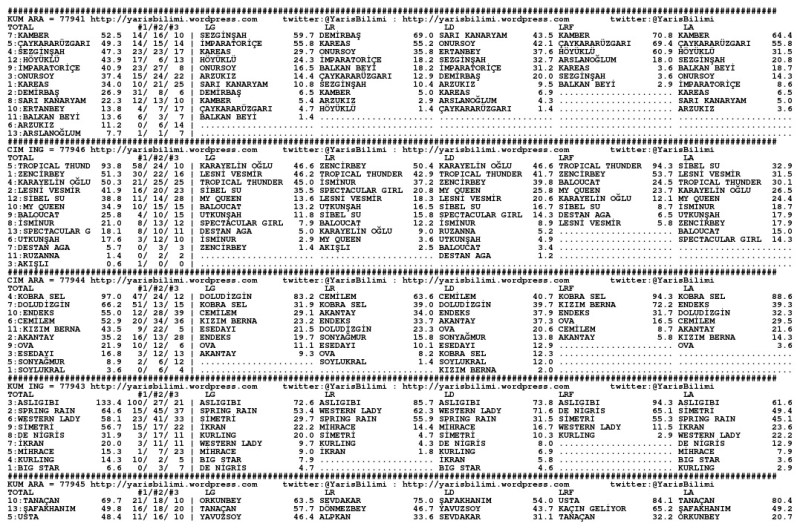 driverCard.28.11.2013.IZMIR-0