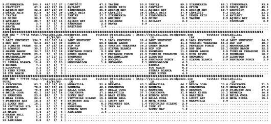 driverCard.30.11.2013.ISTANBUL-1