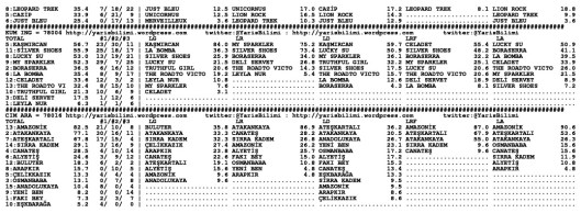 driverCard.04.12.2013.ADANA-1