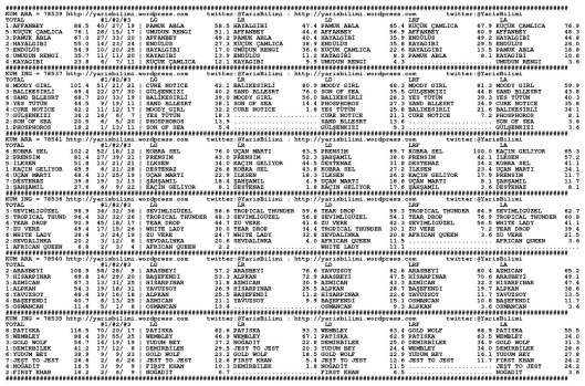 driverCard.16.01.2014.IZMIR-0