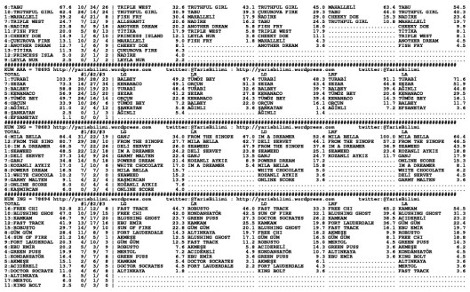 driverCard.26.01.2014.ADANA-1