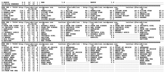 driverCard.11.03.2014.ADANA-1