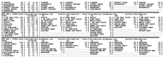 driverCard.19.03.2014.ISTANBUL-1