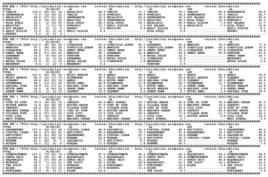 driverCard.24.03.2014.ISTANBUL-0