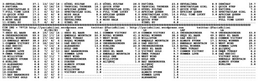 driverCard.05.04.2014.IZMIR-1