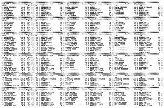 driverCard.16.04.2014.ISTANBUL-0