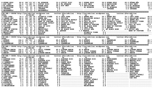 driverCard.28.04.2014.BURSA-1