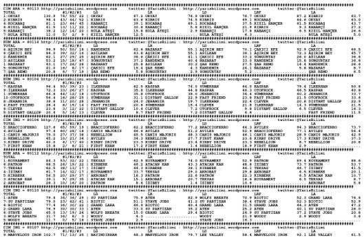 driverCard.02.05.2014.ISTANBUL-0