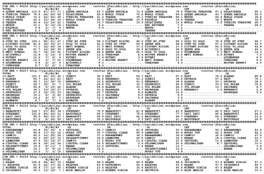 driverCard.09.05.2014.ISTANBUL-0