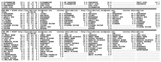 driverCard.18.05.2014.ISTANBUL-1
