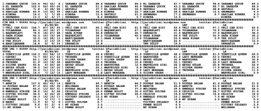 driverCard.26.05.2014.ISTANBUL-1
