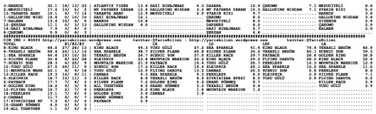 driverCard.30.05.2014.BURSA-1