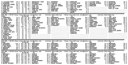 driverCard.08.06.2014.ISTANBUL-1
