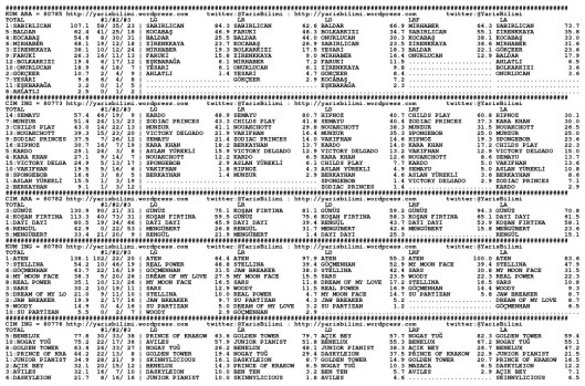 driverCard.11.06.2014.ISTANBUL-0