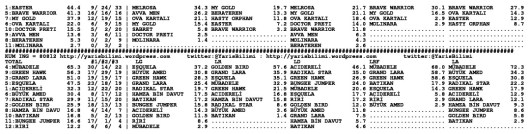 driverCard.13.06.2014.ISTANBUL-1