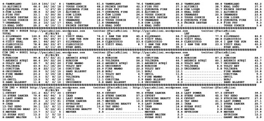 driverCard.14.06.2014.ANKARA-1