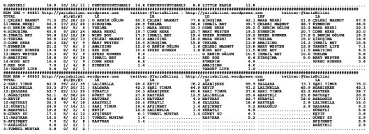 driverCard.15.06.2014.ADANA-1