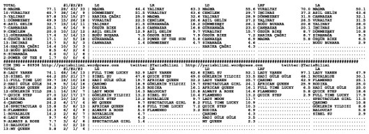 driverCard.21.06.2014.IZMIR-1
