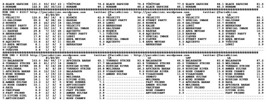 driverCard.27.07.2014.ISTANBUL-1