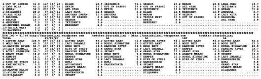 driverCard.09.08.2014.ANKARA-1