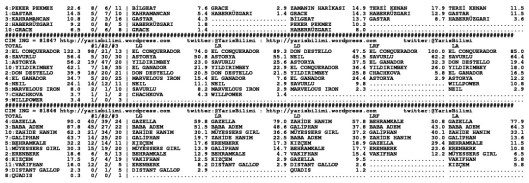 driverCard.17.08.2014.ISTANBUL-1